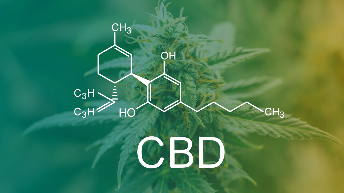 Molécula de CBD e planta de cannabis