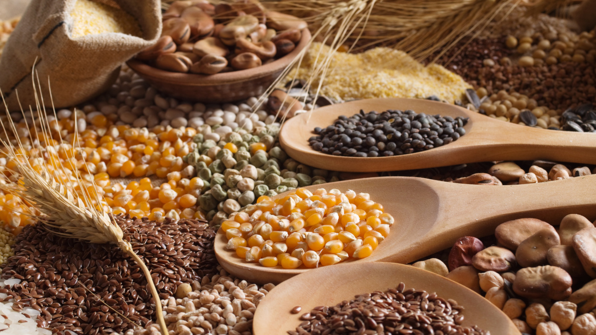 Cereals and grains