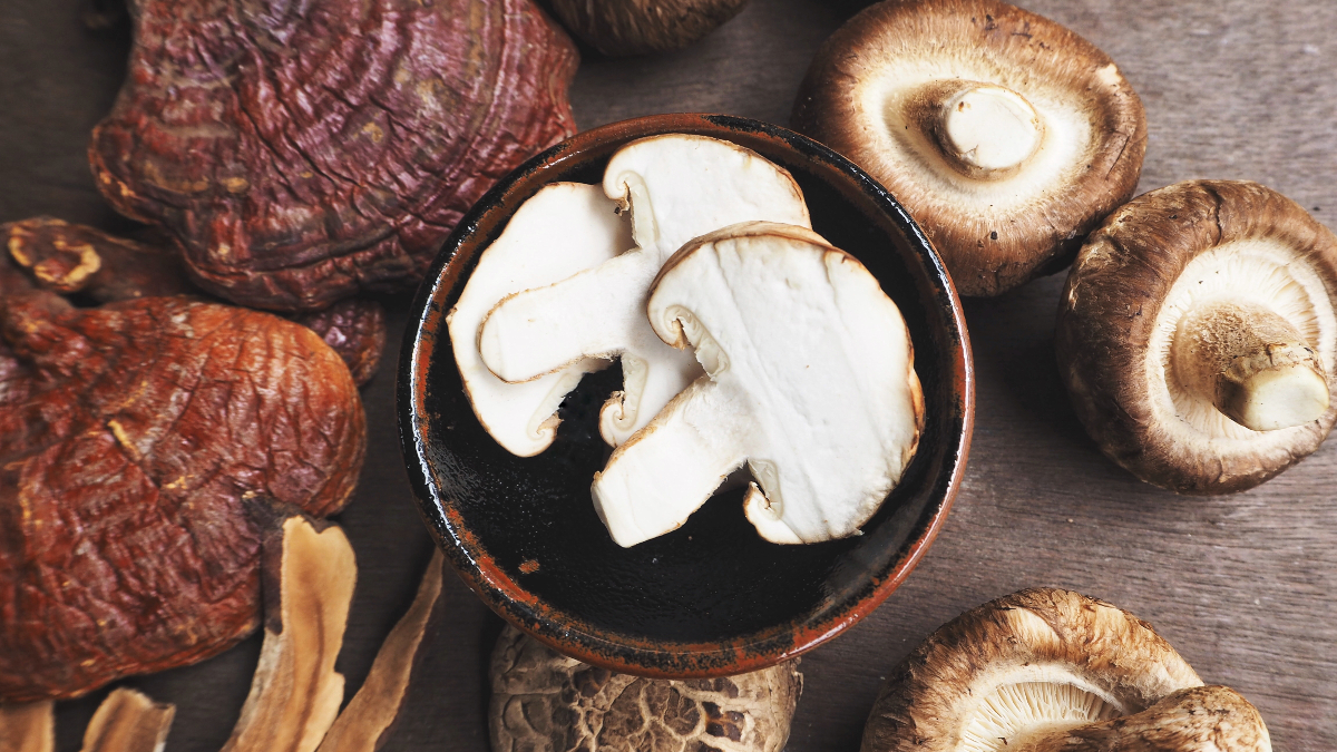 Reishi and shiitake medicinal mushrooms