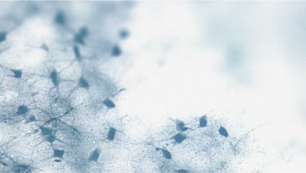 Zou er een verband kunnen bestaan tussen het cholesterolgehalte en cognitieve achteruitgang?