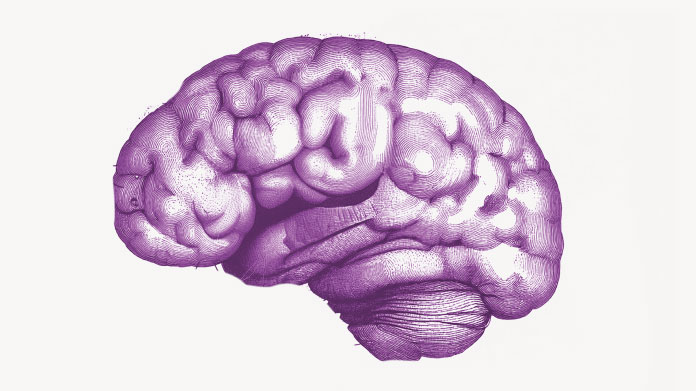 Find out whether choline can reduce neurological disorders