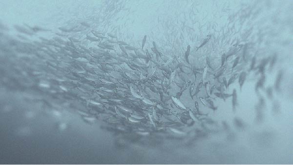 Découvrez toutes les façons dont le collagène est bénéfique pour l’organisme