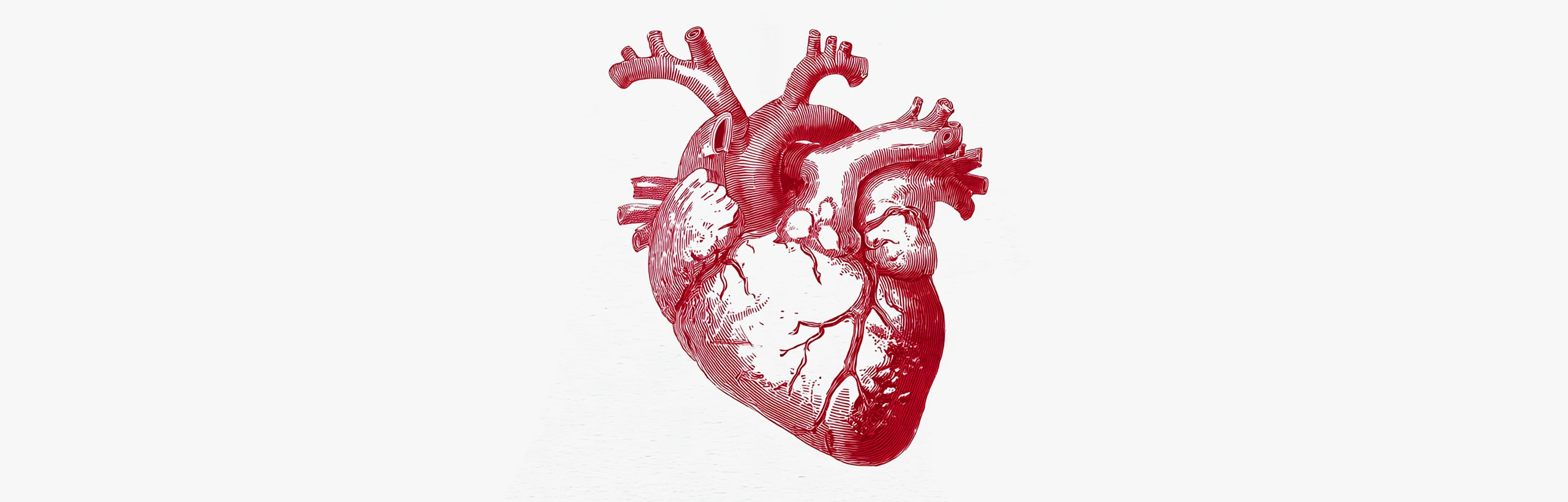 Blood thinning