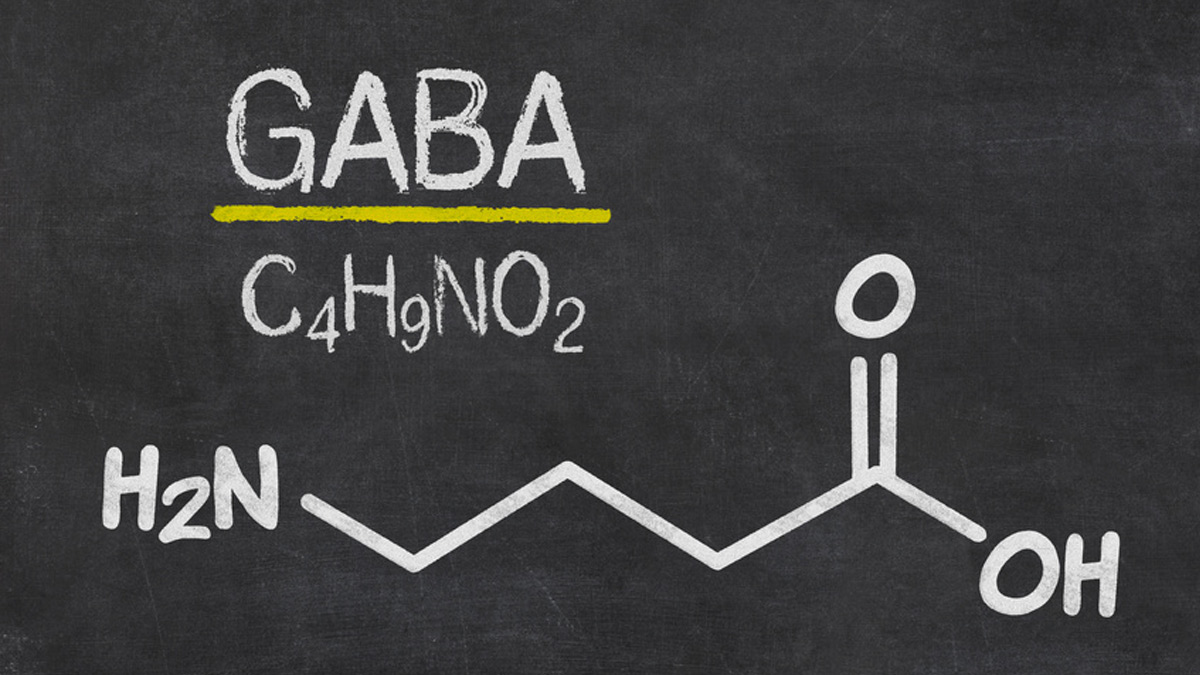 The neurotransmitter GABA: a natural stress-buster