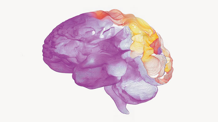 Découvrez si prendre des compléments de GABA pourrait être dangereux