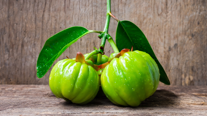 Fruta del quemador de grasa Garcinia cambogia