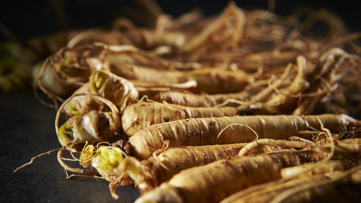 Ginseng root for boosting the immune system