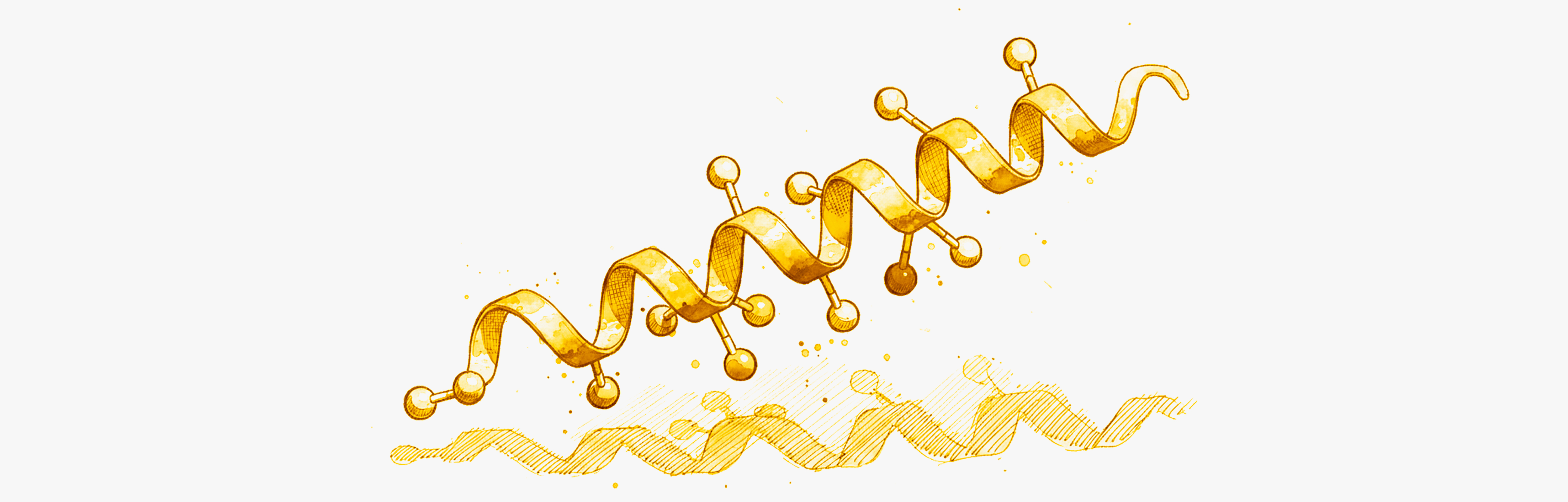 Molecola di GLP-1 Il GLP-1 potrebbe aiutare a combattere il fegato grasso