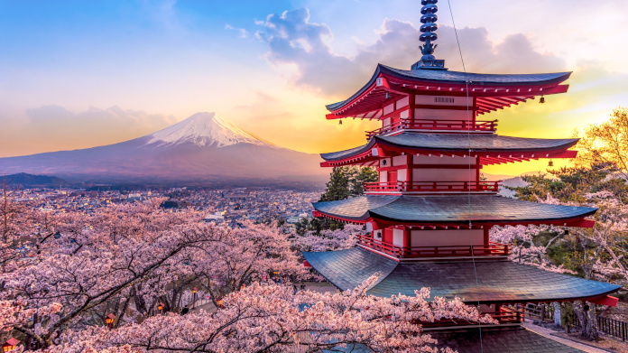 Le Japon est le berceau de la médecine kampo