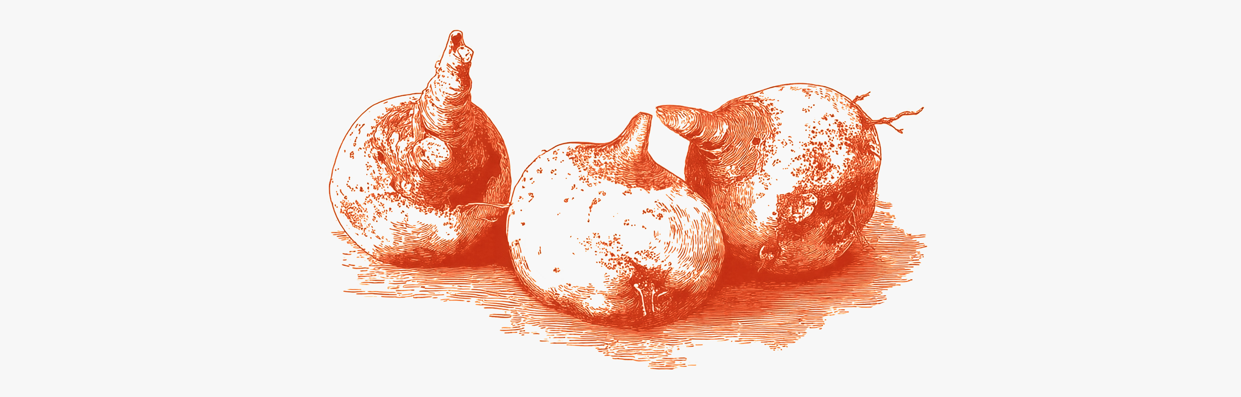 Scoprite i benefici del konjac