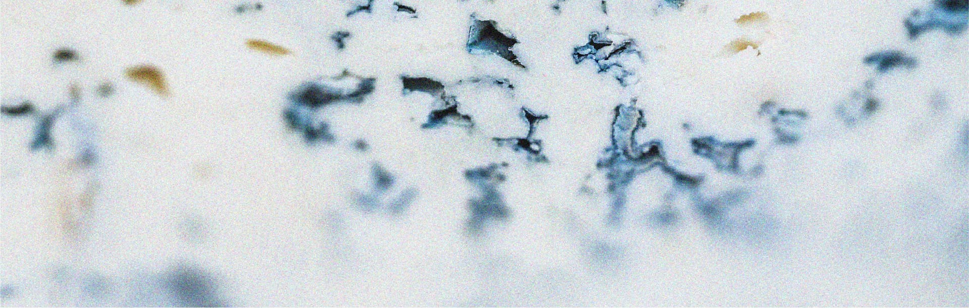 In welchen Lebensmitteln kommt Lactobacillus casei vor