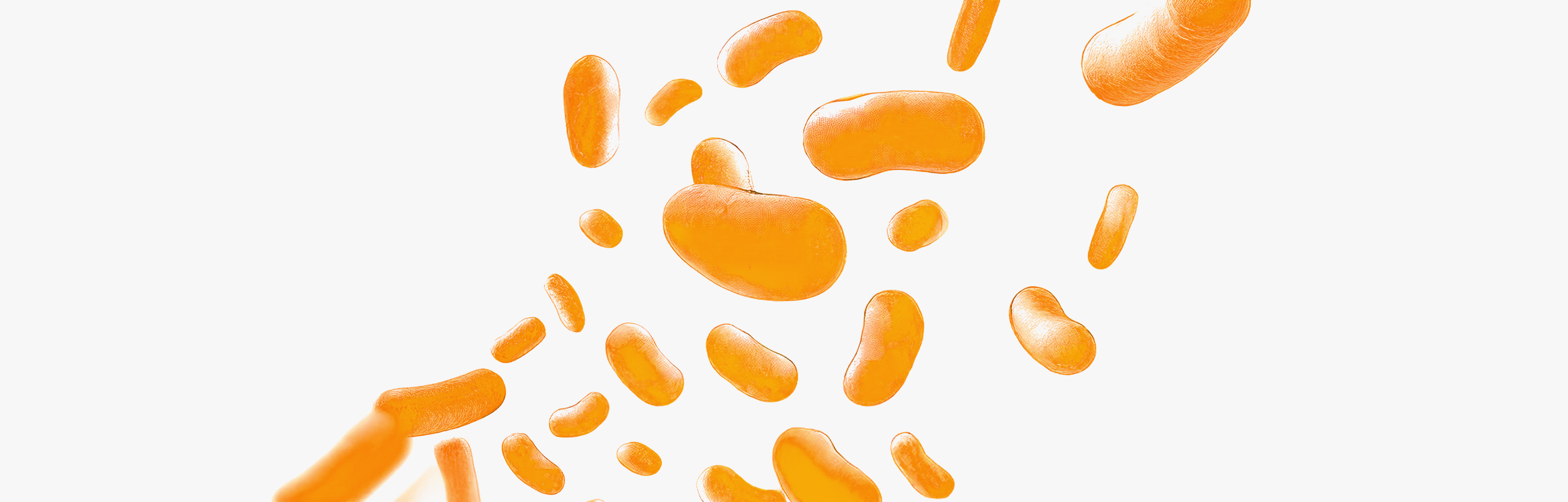 Los beneficios del Lactobacillus plantarum