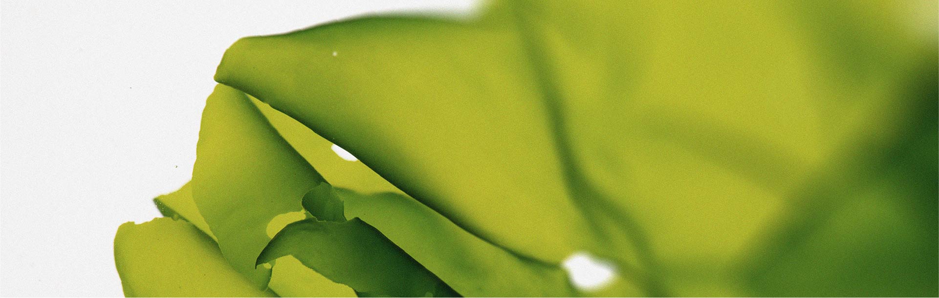 Magnesiummangel: Symptome und Lösungen