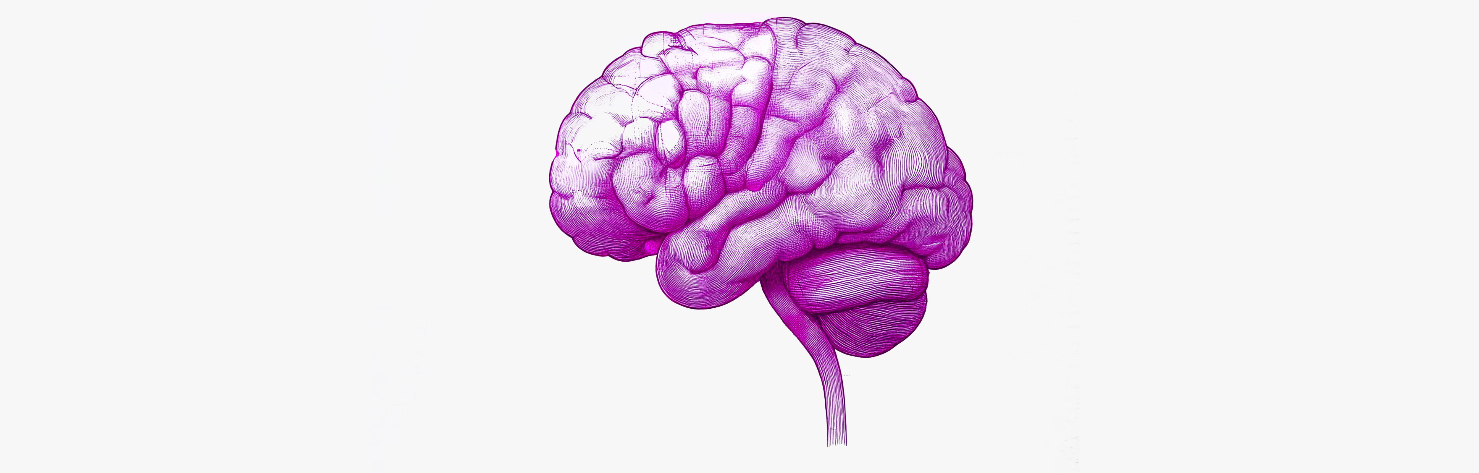 Infiammazione cerebrale e disturbi mentali