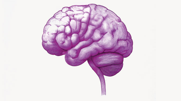 Infiammazione cerebrale e disturbi mentali