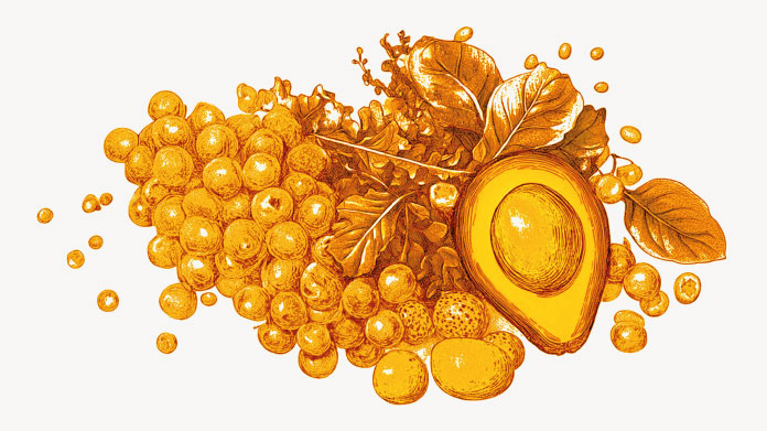 Benefici della micronutrizione