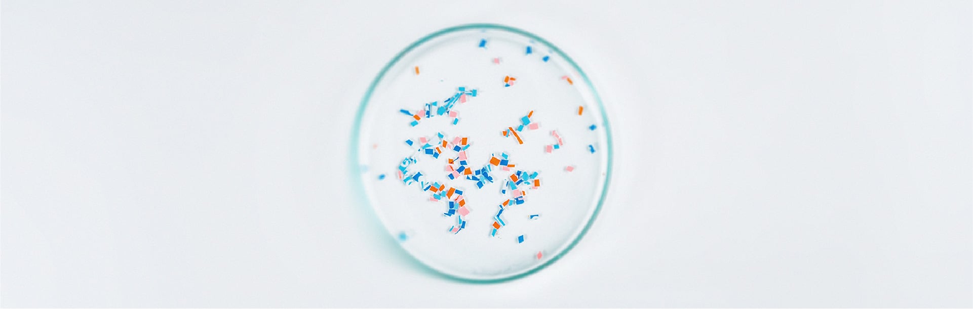 Les effets potentiels des microplastiques sur la santé osseuse