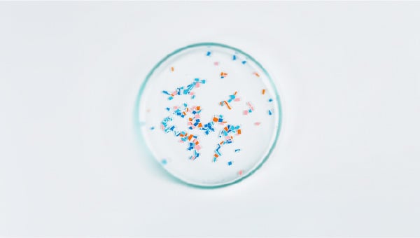 Les effets potentiels des microplastiques sur la santé osseuse