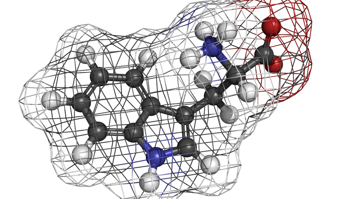Molécula de triptofano