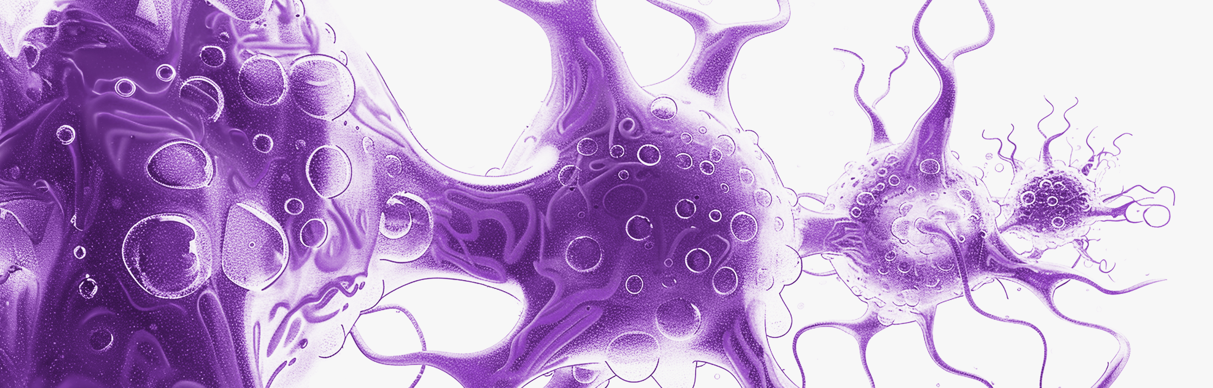 Integratori alimentari neuroprotettivi