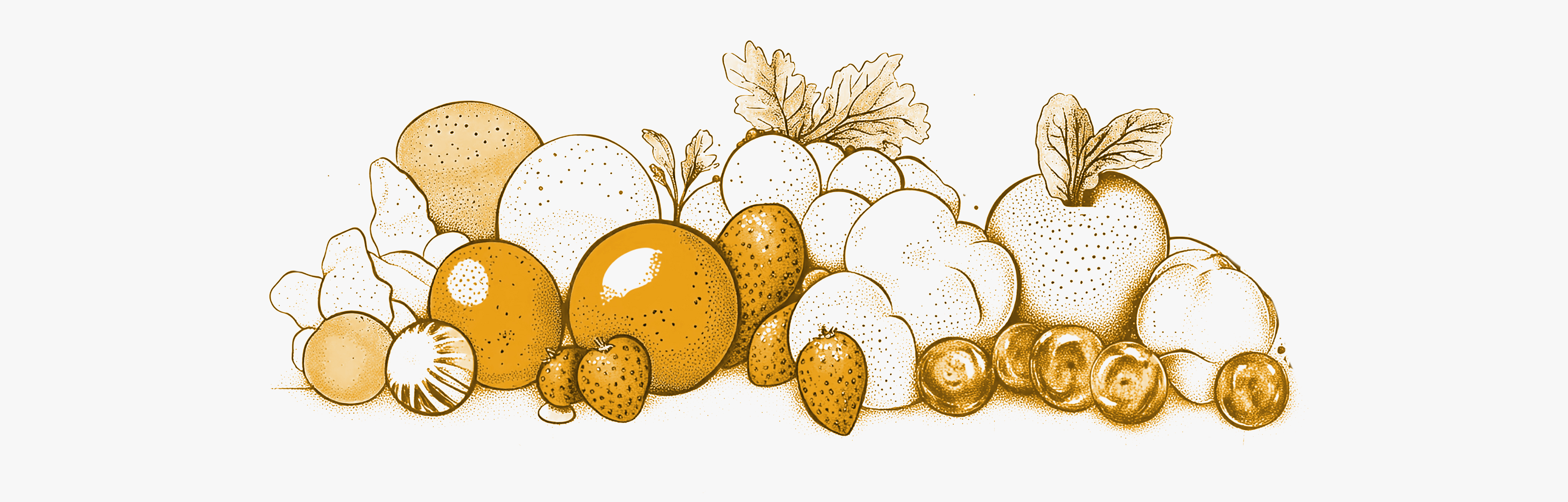 Different foods contribute to health