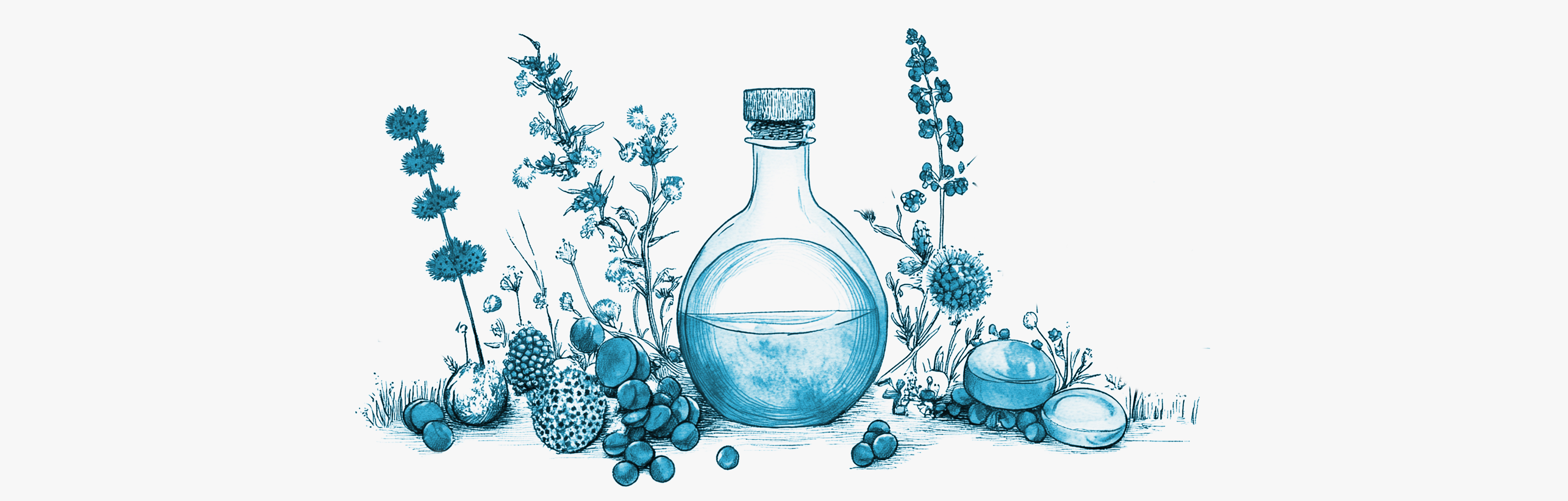 Die besten natürlichen Magenschutzmittel