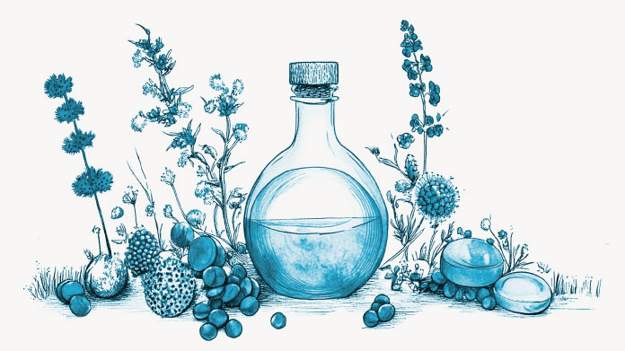 Die besten natürlichen Magenschutzmittel