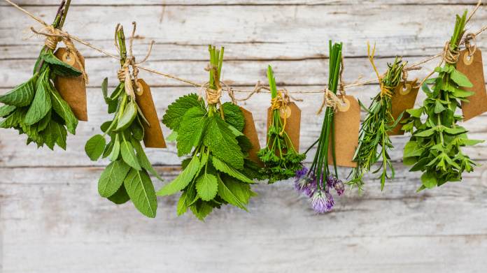 Aromatische en medicinale planten die hangen te drogen