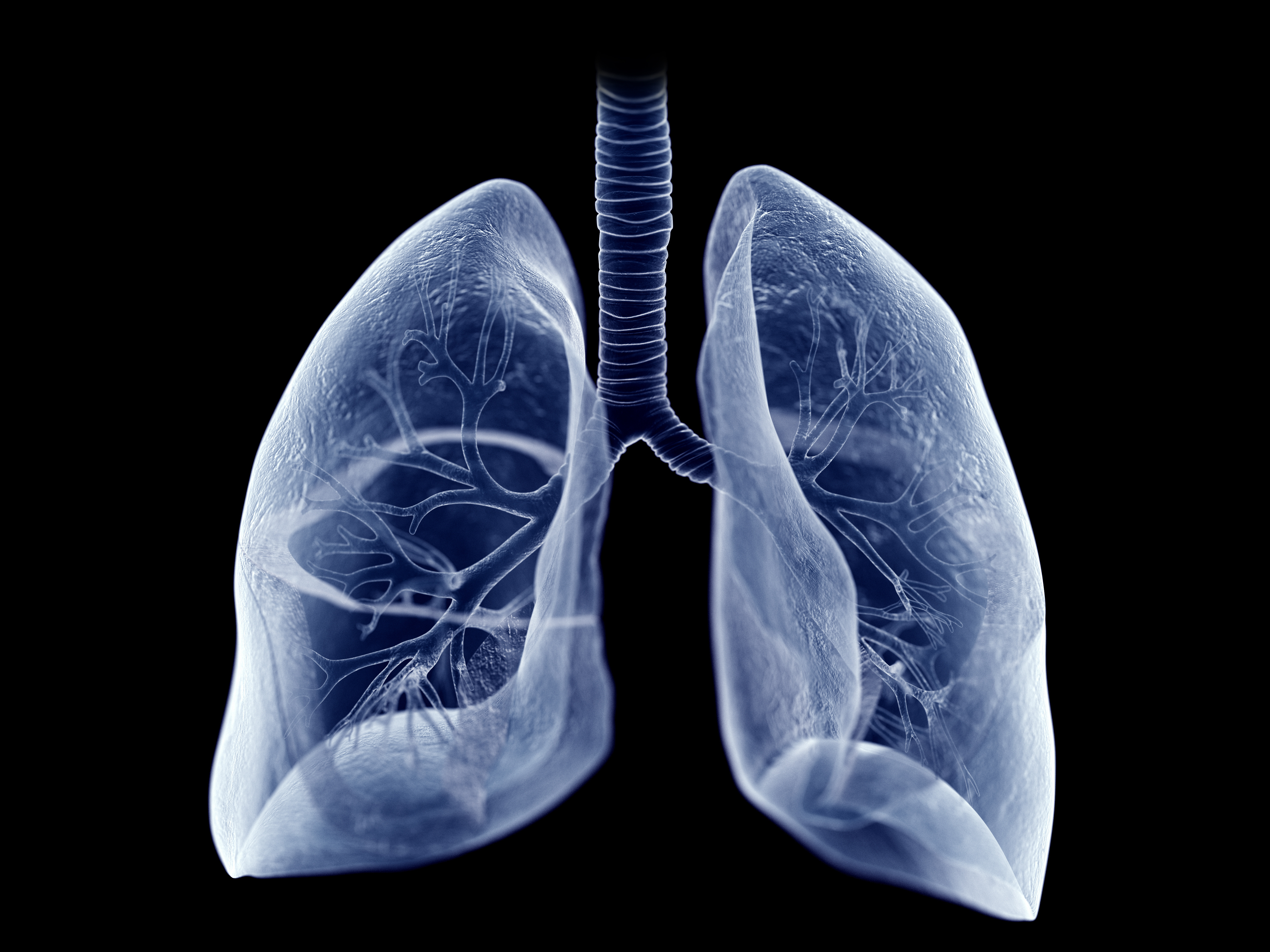 Santé des poumons