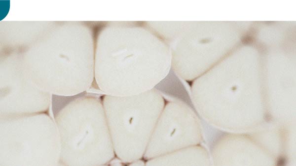 Découvrez la différence entre les prébiotiques et les probiotiques