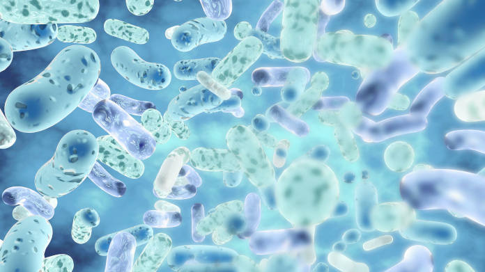 Probiotyki w mikroflorze jelit