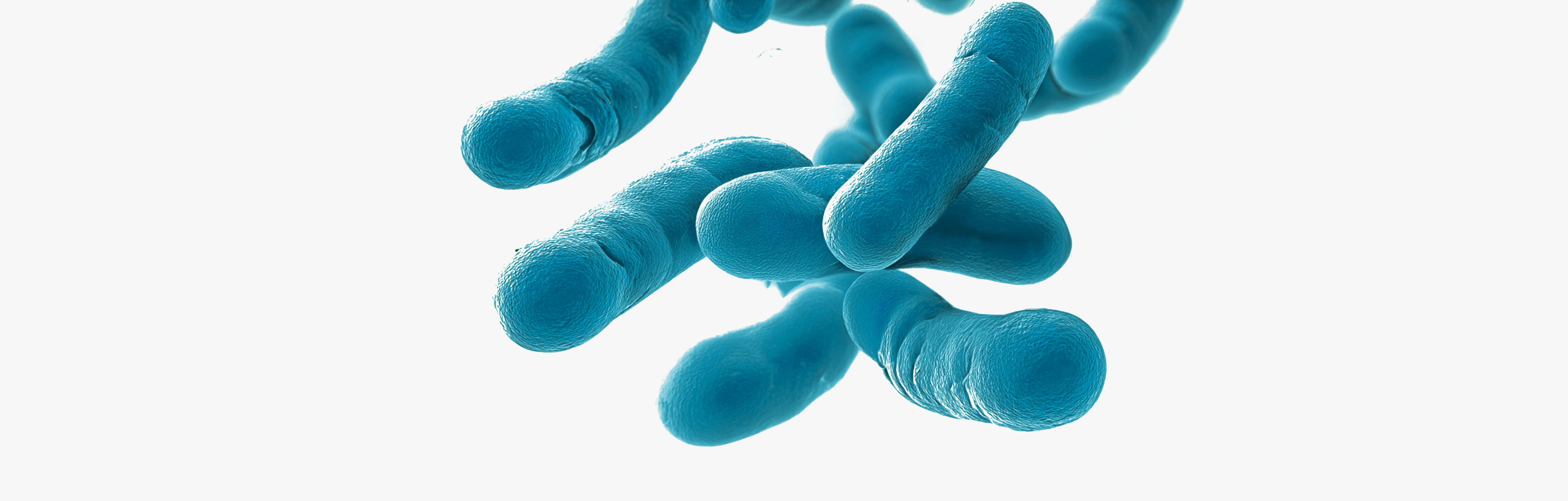 Probióticos para aliviar o intestino irritável