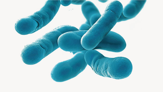 Probióticos para aliviar o intestino irritável