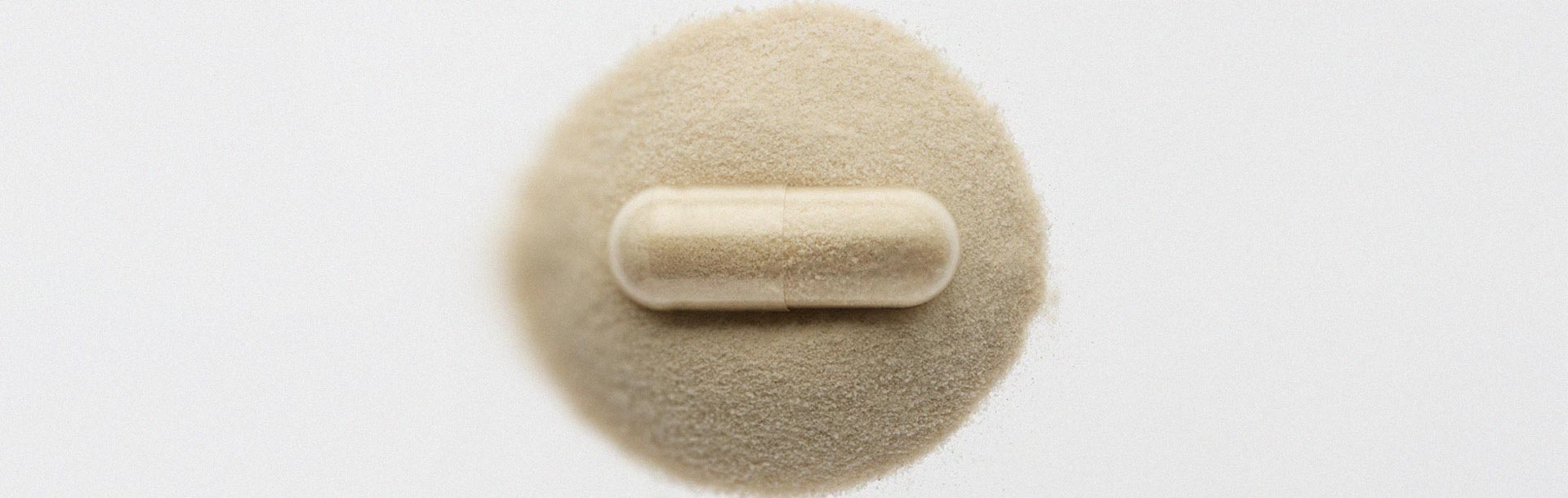 Everything you need to know about using probiotics for gut health