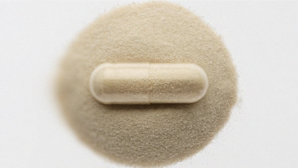 Everything you need to know about using probiotics for gut health