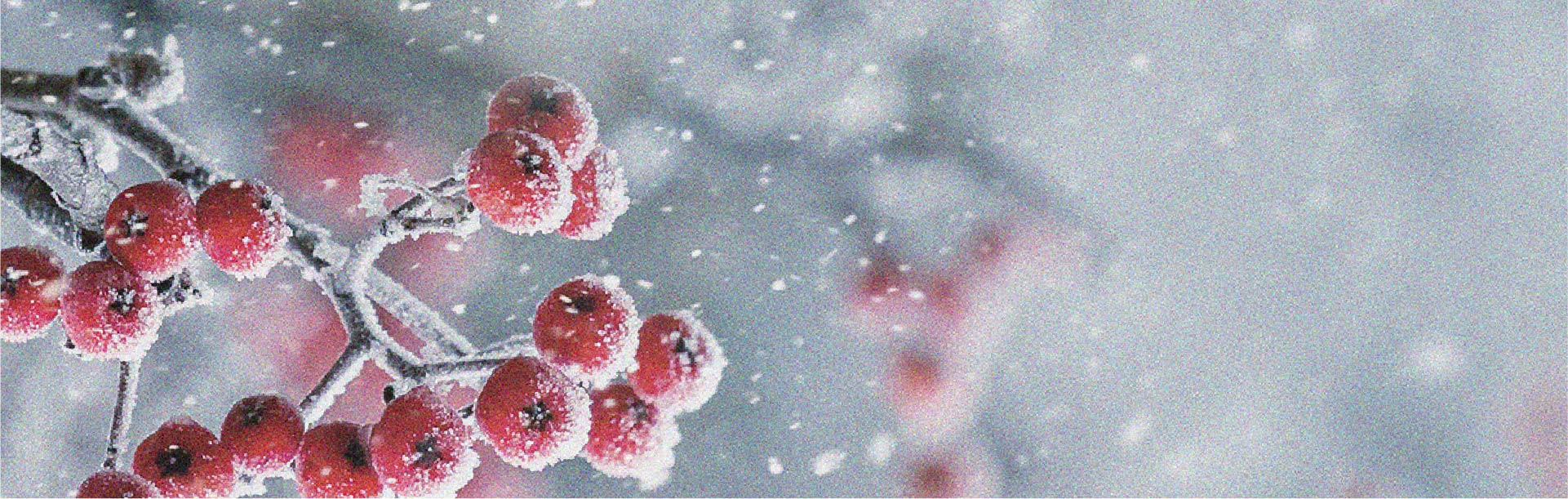 Better eating habits can help reduce LDL levels