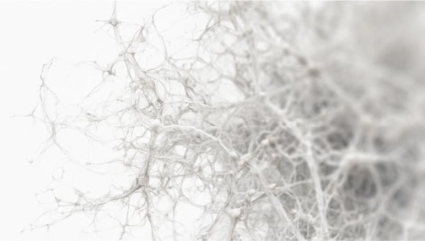 Discover the secret behind the gut’s efficiency