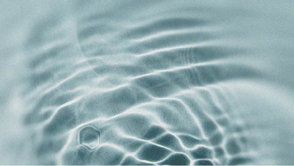 Il NAD+ e il suo rapporto con l’invecchiamento