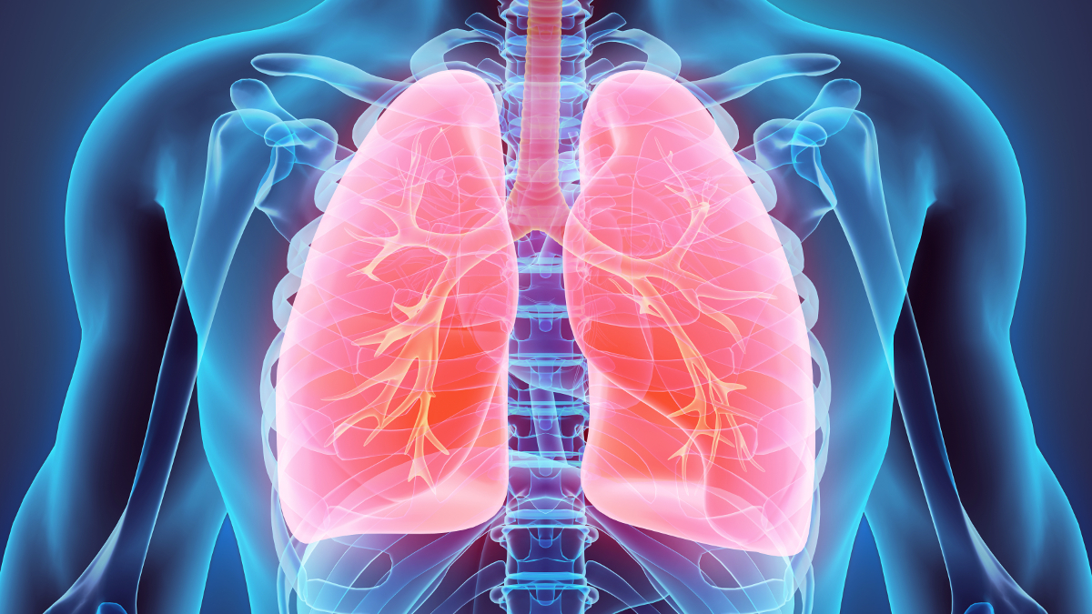 Medizinische Abbildung der Lunge