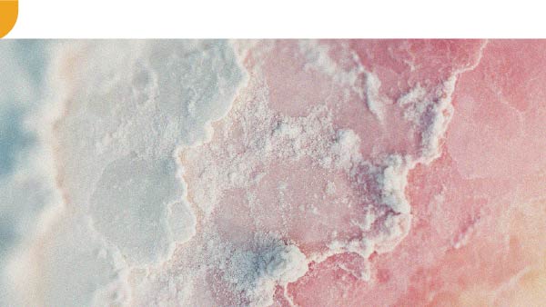 Tudo o que precisa de saber sobre os sais minerais