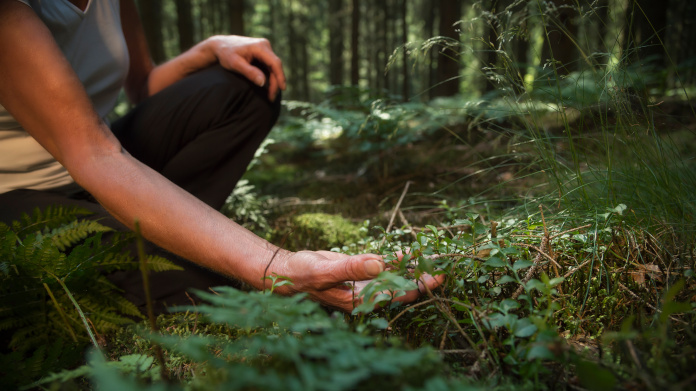 Terapia forestal en el bosque