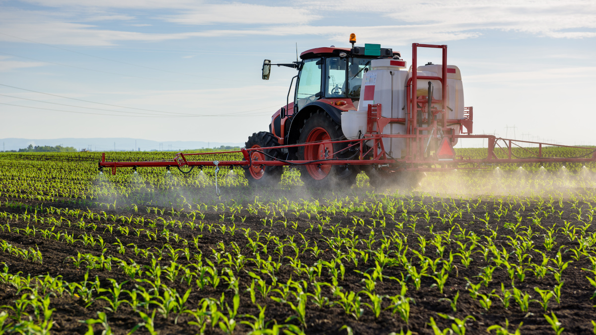 Sprühen von Pestiziden auf den Feldern