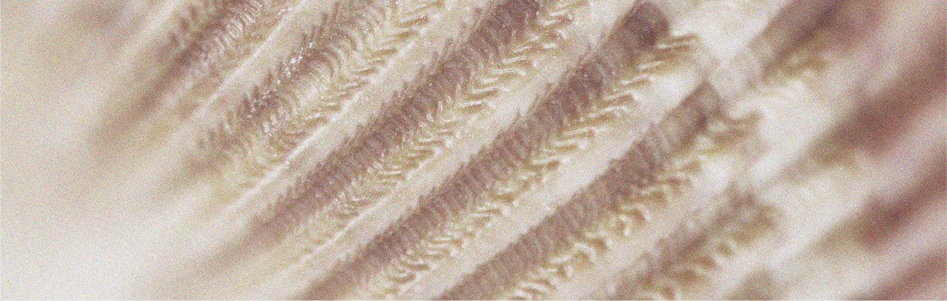 Vitamin B12 has many benefits; among them, it may contribute to hair health