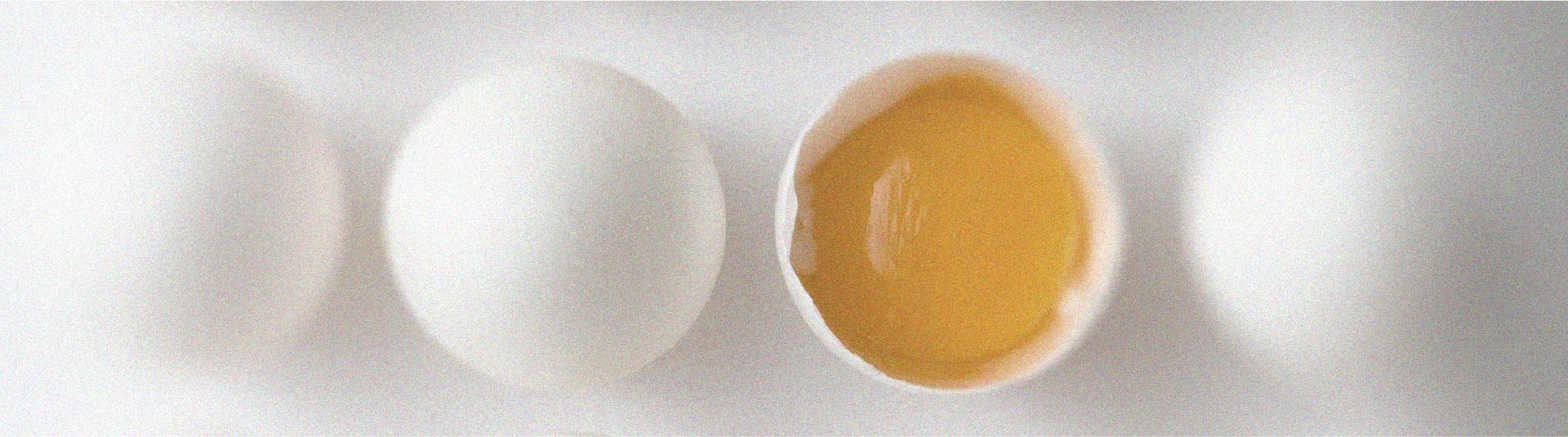 Tudo o que precisa de saber sobre a vitamina B2