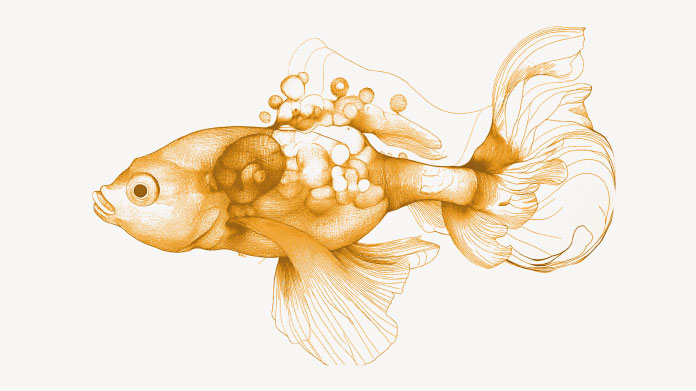 Alles wat je moet weten over vitamine B2