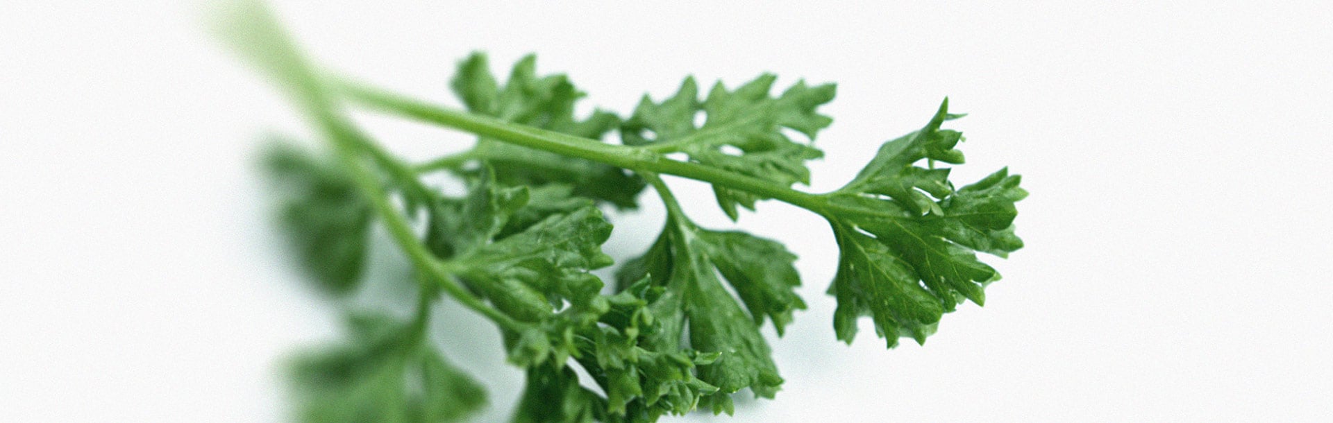 Everything you need to know about vitamin K1