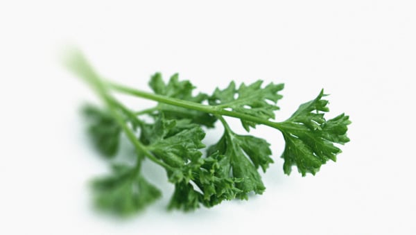 Tutto quello che c’è da sapere sulla vitamina K1