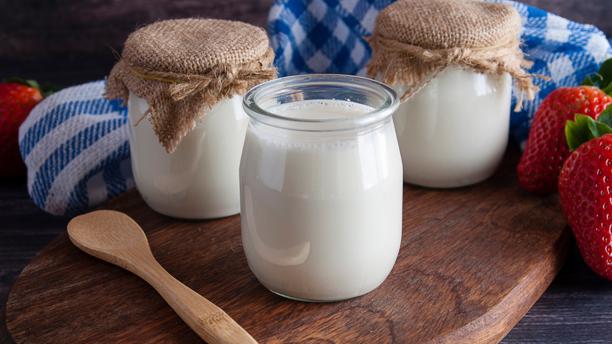 Yogurts rich in lactic acid bacteria