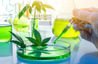 CBD 25 mg CBD 25 mg
