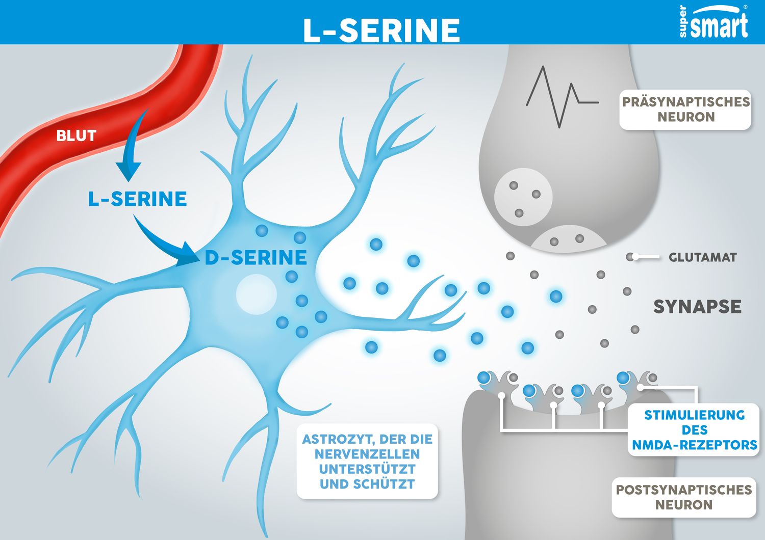 LSerin ReferenzSerinErgänzung Vorteile und Dosierung